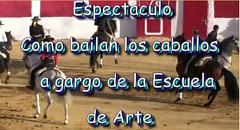 069 Villanueva de Alcardete, como bailan los caballos primera parte